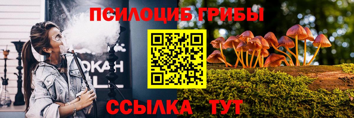 Галлюциногенные грибы мицелий Краснодар